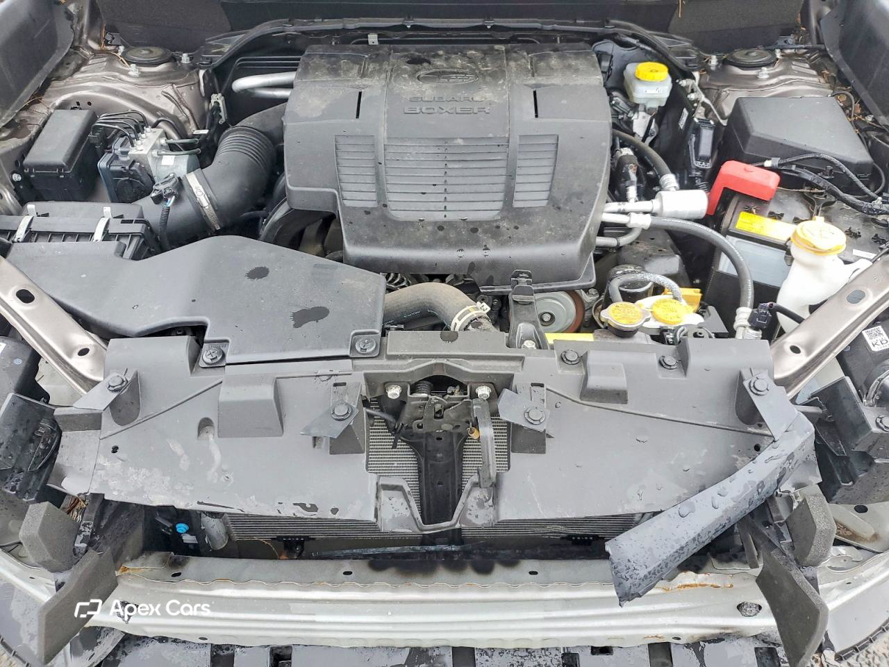 Subaru Forester 2023