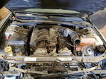 Dodge Charger 2008