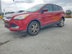 Ford Escape 2013