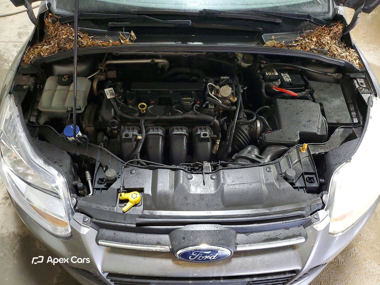 Ford Focus 2014