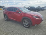 Lexus NX 2015