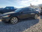 Honda Accord 2010