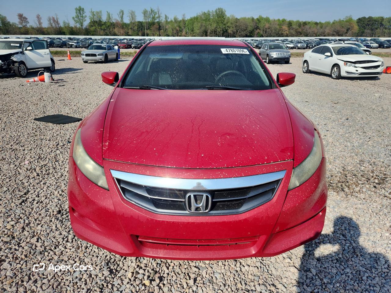 Honda Accord 2011