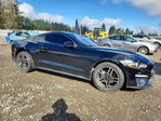 Ford Mustang 2019