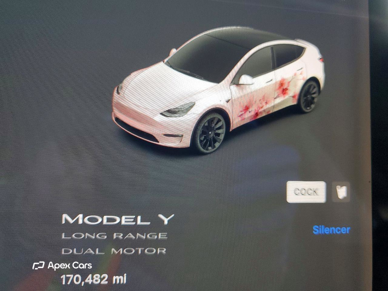 Tesla Model Y 2021