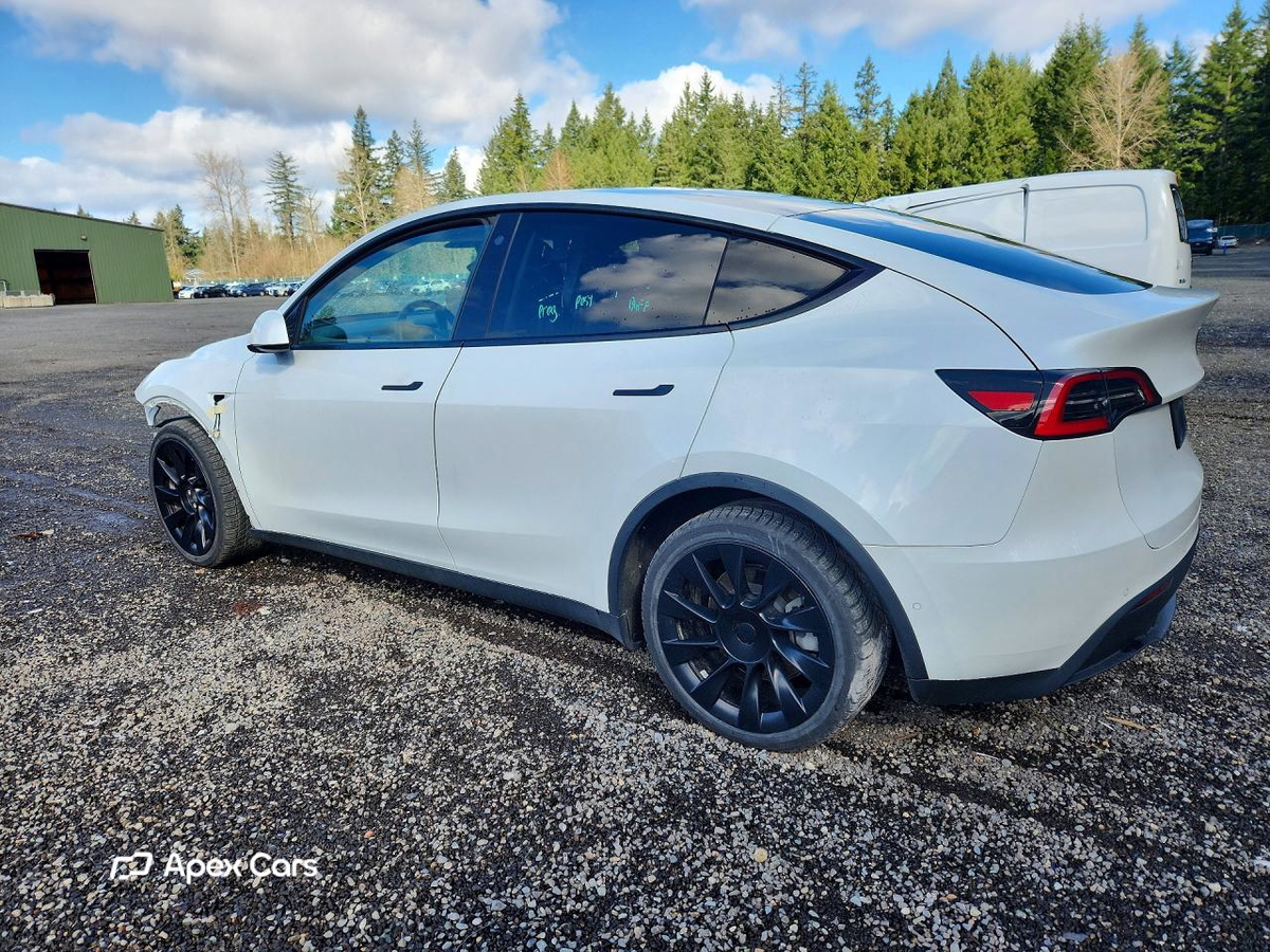 Tesla Model Y 2021