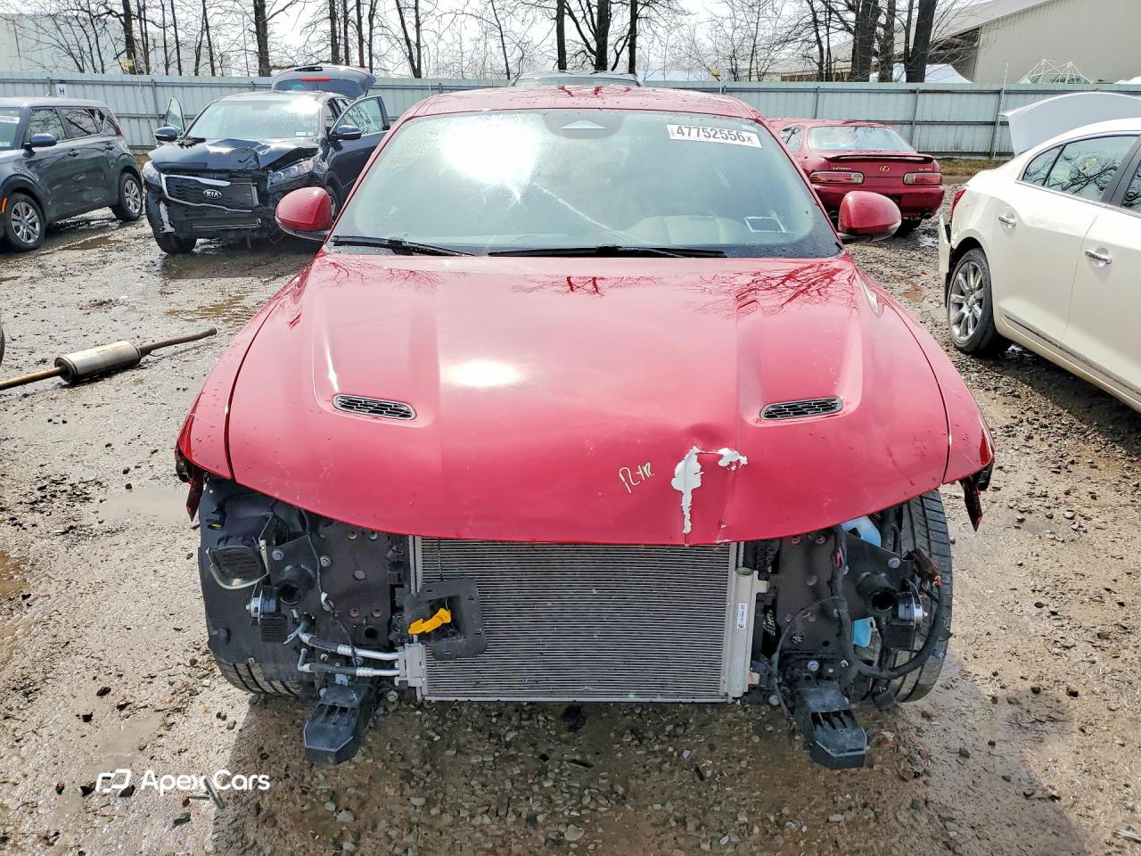 Dodge Hornet 2024