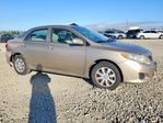 Toyota Corolla 2009