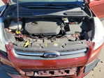 Ford Escape 2014