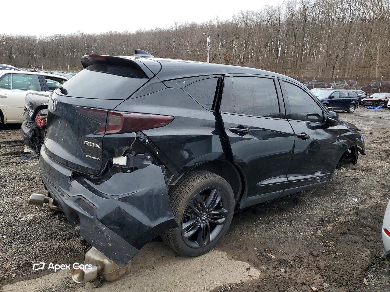 Acura RDX 2024