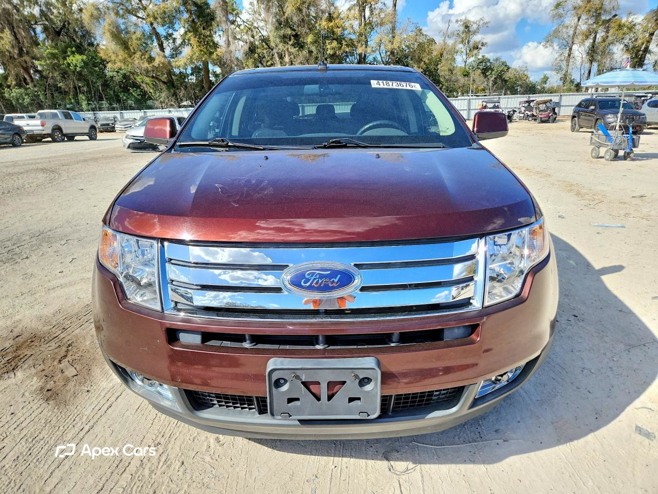 Ford Edge 2010