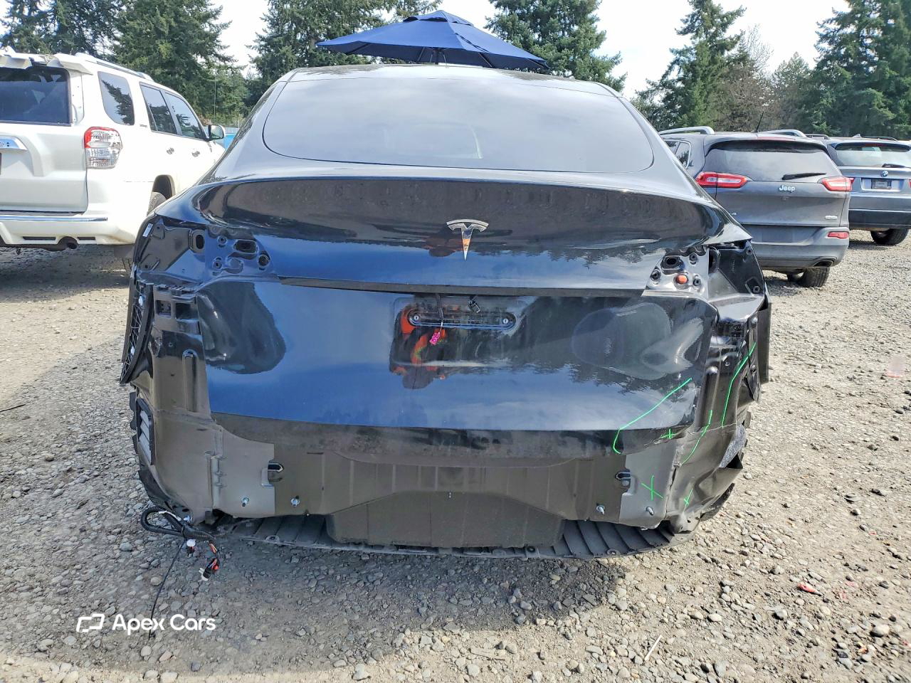 Tesla Model Y 2025