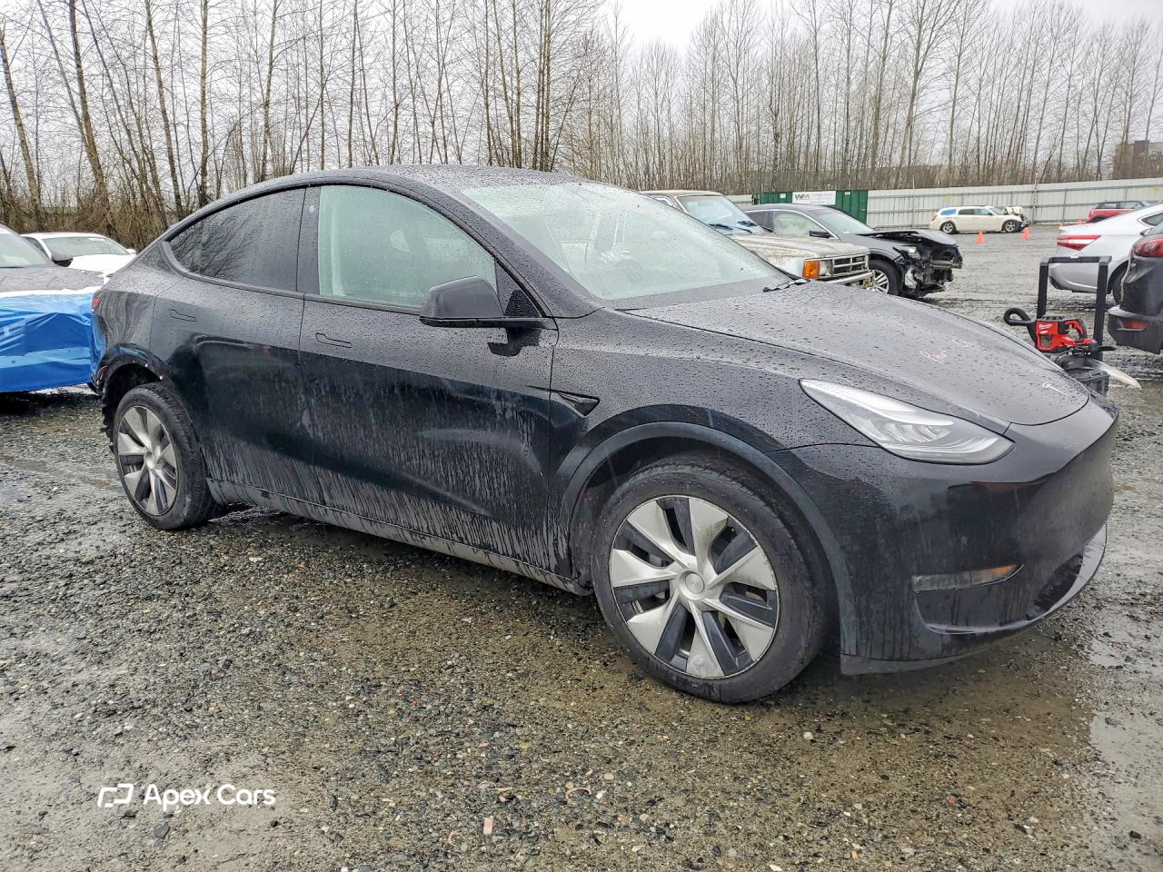 Tesla Model Y 2020