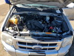 Ford Escape 2008