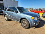 Ford Escape 2011