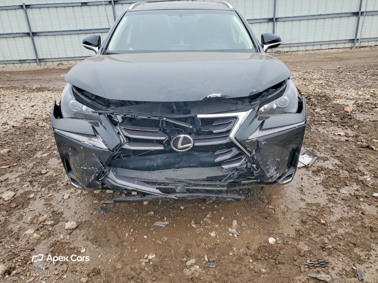 Lexus NX 2017