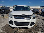 Ford Escape 2015
