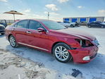 Lexus ES 2010