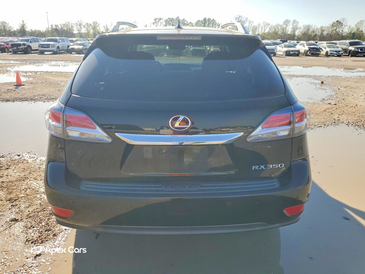 Lexus RX 2015