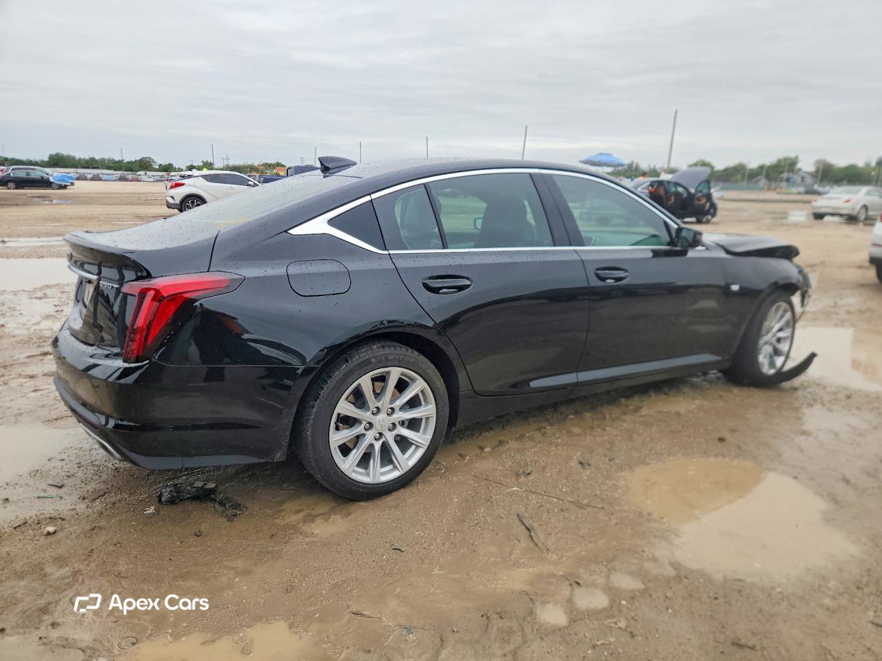 Cadillac CT5 2024