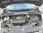Ford Escape 2016