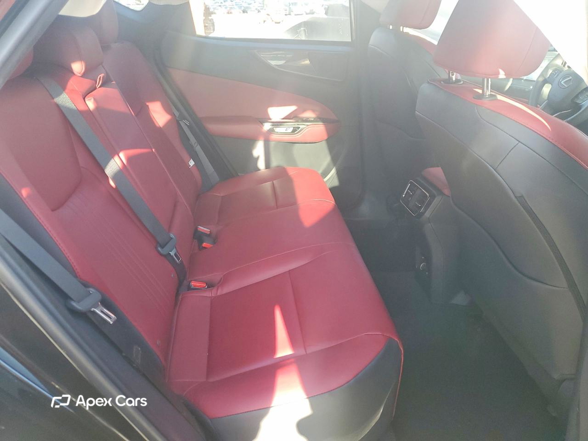 Lexus NX 2024