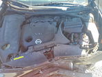 Nissan Maxima 2011