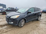 Ford Escape 2016