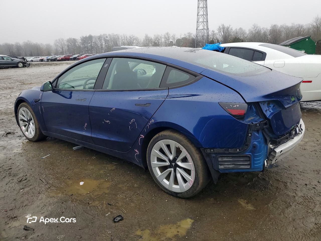 Tesla Model 3 2021