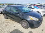 Kia Rio 2013