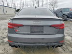 Audi RS4 2019