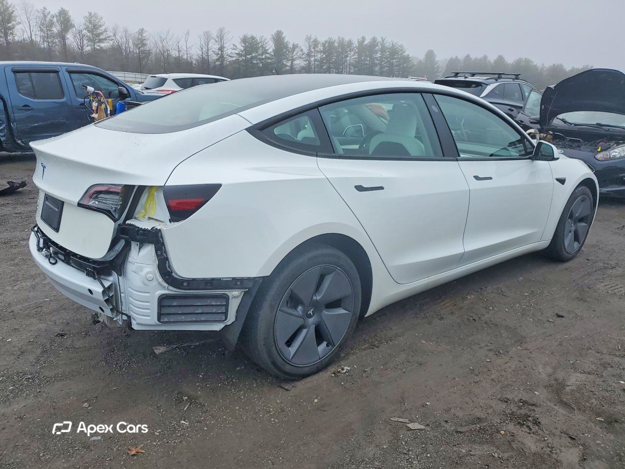 Tesla Model 3 2023