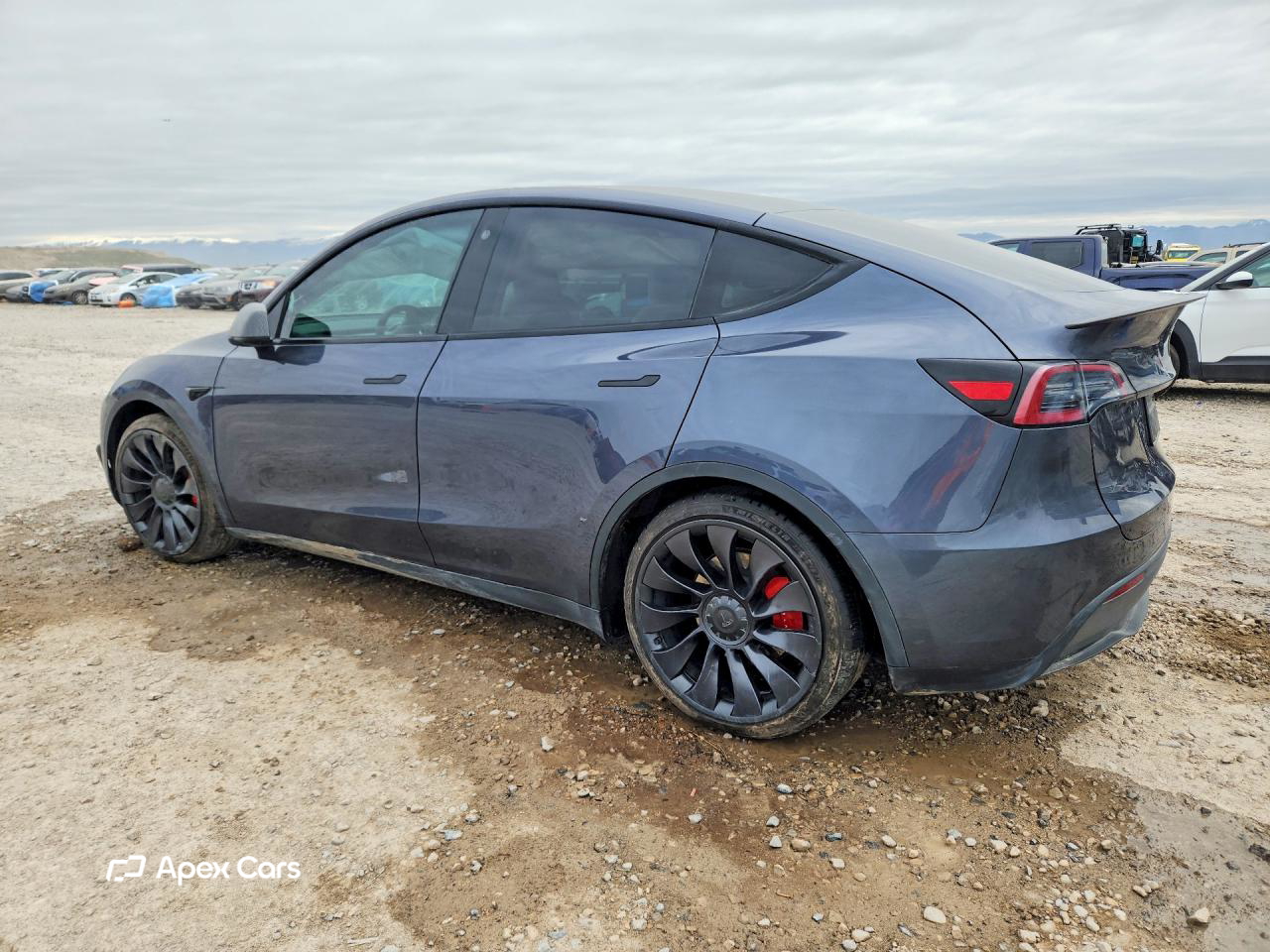Tesla Model Y 2023