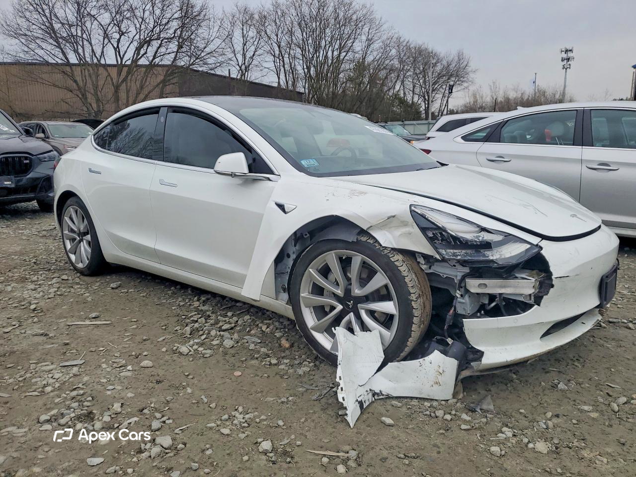 Tesla Model 3 2019