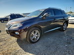 Lexus RX 2013