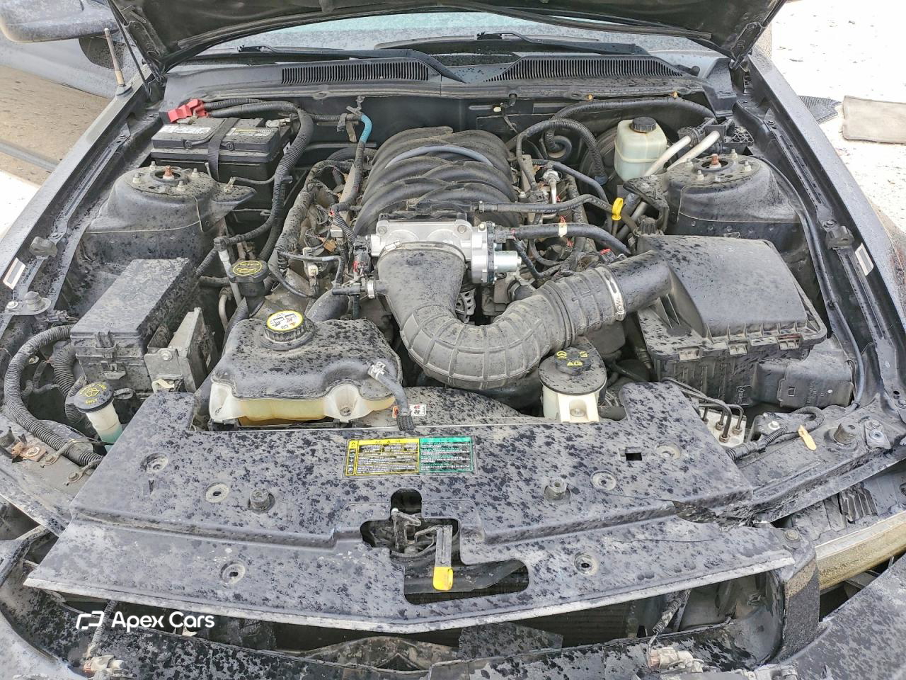 Ford Mustang 2005
