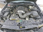 Ford Mustang 2005
