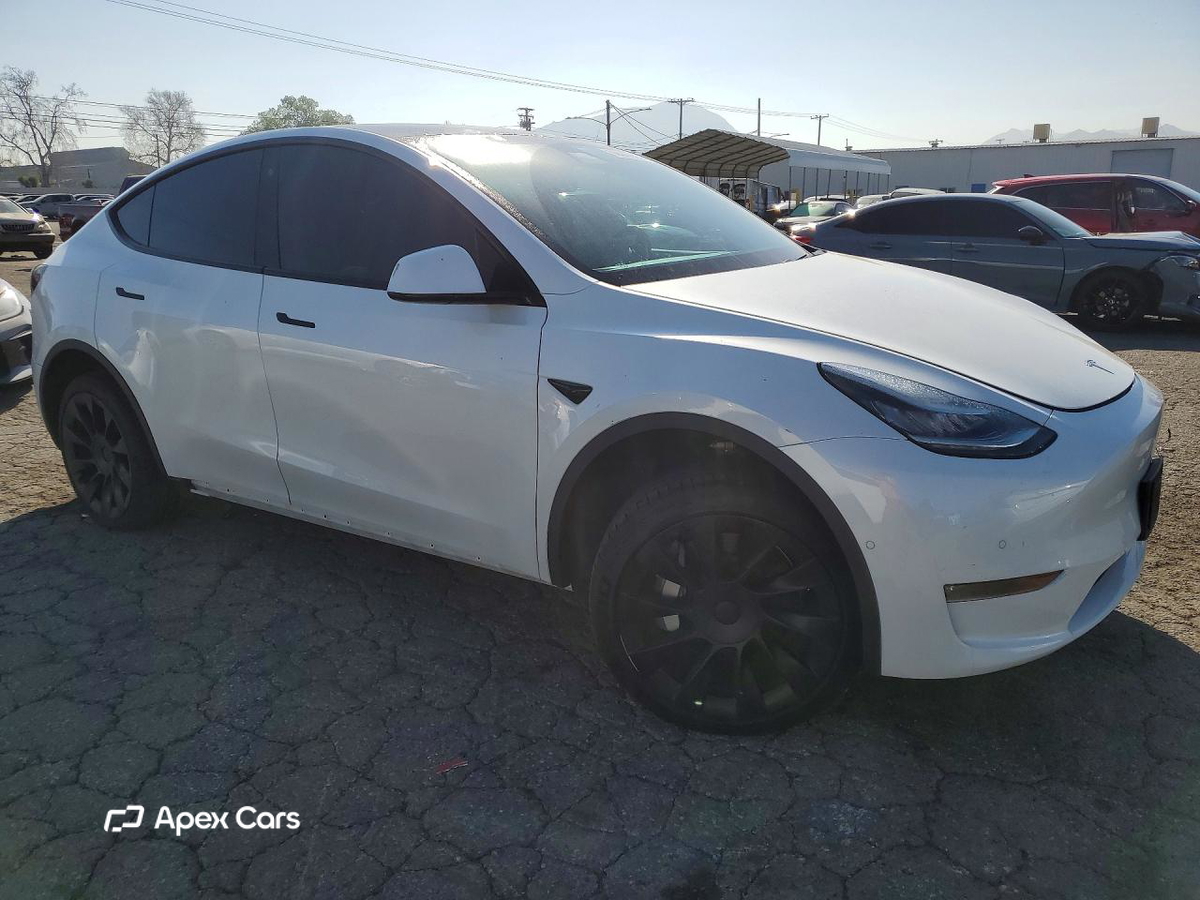Tesla Model Y 2020