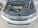 Lexus HS 2010