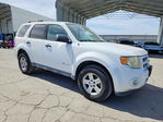 Ford Escape 2011