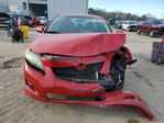 Toyota Corolla 2009
