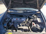 Honda Accord 2011