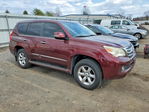 Lexus GX 2013