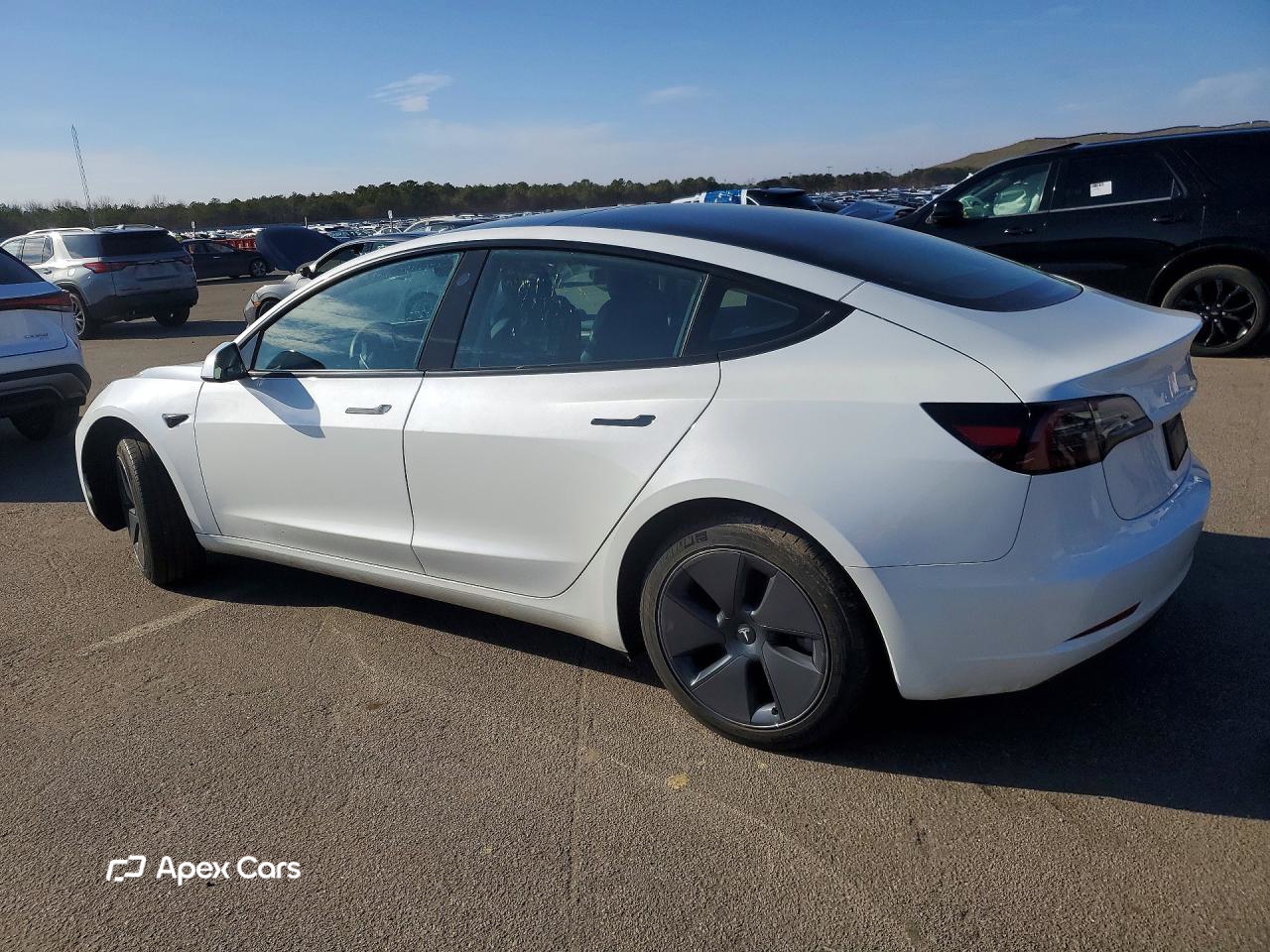 Tesla Model 3 2023
