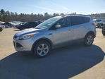 Ford Escape 2013