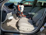 Lexus ES 2008
