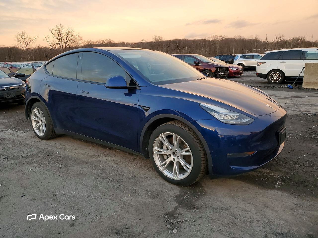 Tesla Model Y 2021