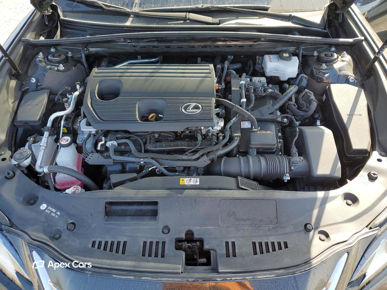 Lexus ES 2024