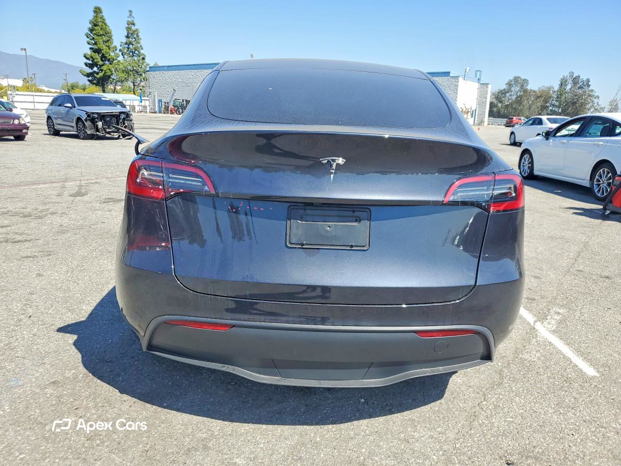 Tesla Model Y 2024