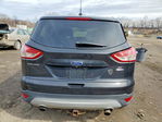 Ford Escape 2015